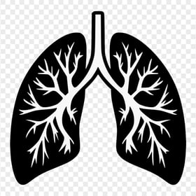Black Humain Lung Trachea Respiratory Icon Vector
