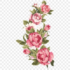 Pink Roses Flowers Illustration PNG IMG