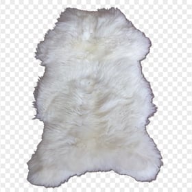 HD Sheep Goat White Skin PNG