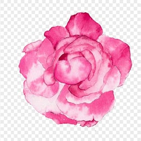 Download HD Pink Peony Watercolor Flower PNG