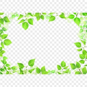 Green Leaves Frame PNG
