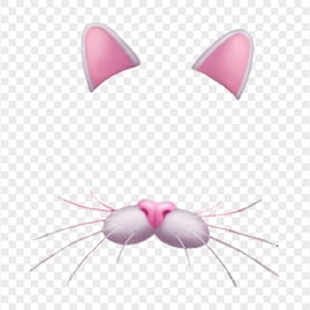 Snapchat Cat Cute Face Filter Ears And Nose PNG Image