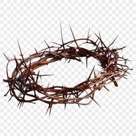 Crown Of Thorns Cross Spines Prickles Christianity