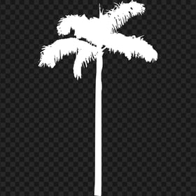 HD White Palm Tree Silhouette PNG