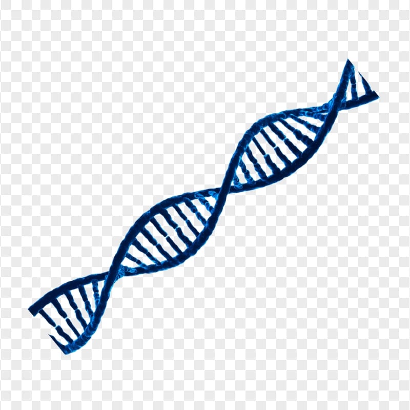 HD Blue DNA String Transparent Background