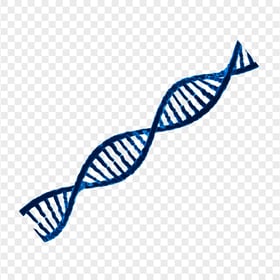 HD Blue DNA String Transparent Background