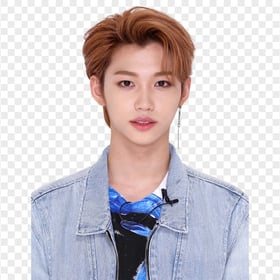 HD Lee Felix Stray Kids