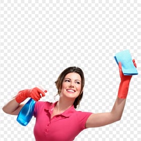 Maid Woman Gloves Spray Clean