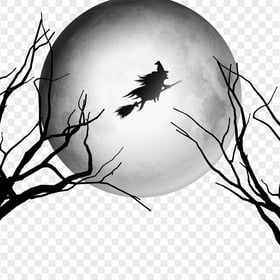 Halloween Flying Witch Trees Branches And Moon