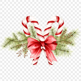 HD Watercolor Painting Christmas Pine Branch PNG