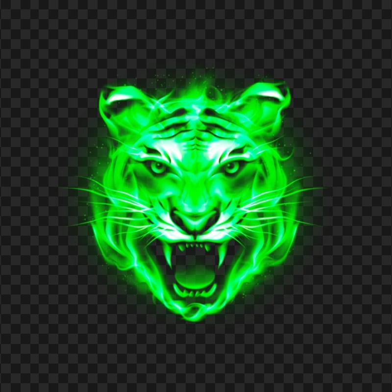 HD Tiger Face Green Fire Flames Transparent PNG