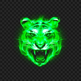 HD Tiger Face Green Fire Flames Transparent PNG