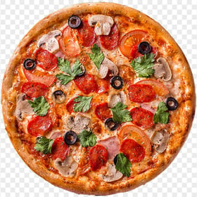 Delightful Pepperoni Pizza with Fresh Herbs FREE PNG