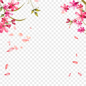 Transparent HD Pink Floral Background