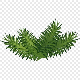 Christmas Green Pine Leaves Branch Illustration