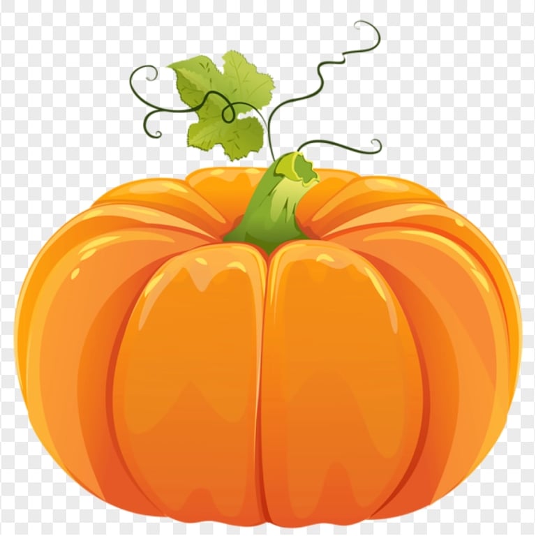Orange Pumpkin With Leaf Food Illustration
