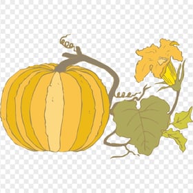 Vector Pumpkin With Leaves Autumn Wall