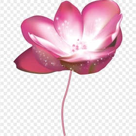 Pink Flower Rose With Magic Effect HD PNG
