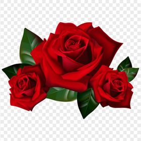 HD Red Roses Illustration PNG
