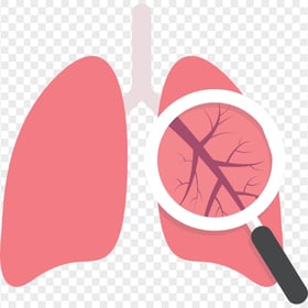 Lung Lungs Respiratory System Magnifier Flat Icon