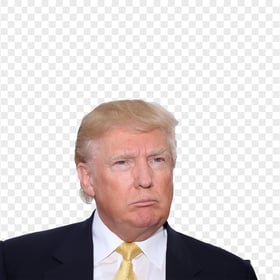 President Donald Trump Wear Suit