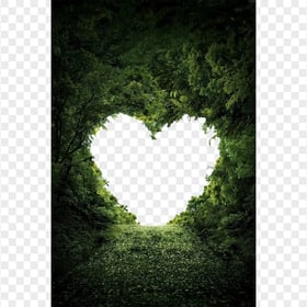 Download Heart Shape On Nature Trees PNG