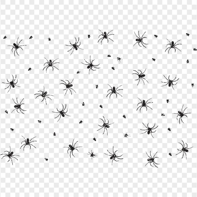 HD Black Spiders Halloween Pattern Background PNG