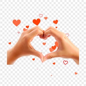 Human Hands Heart With Red Floatings Hearts Love PNG