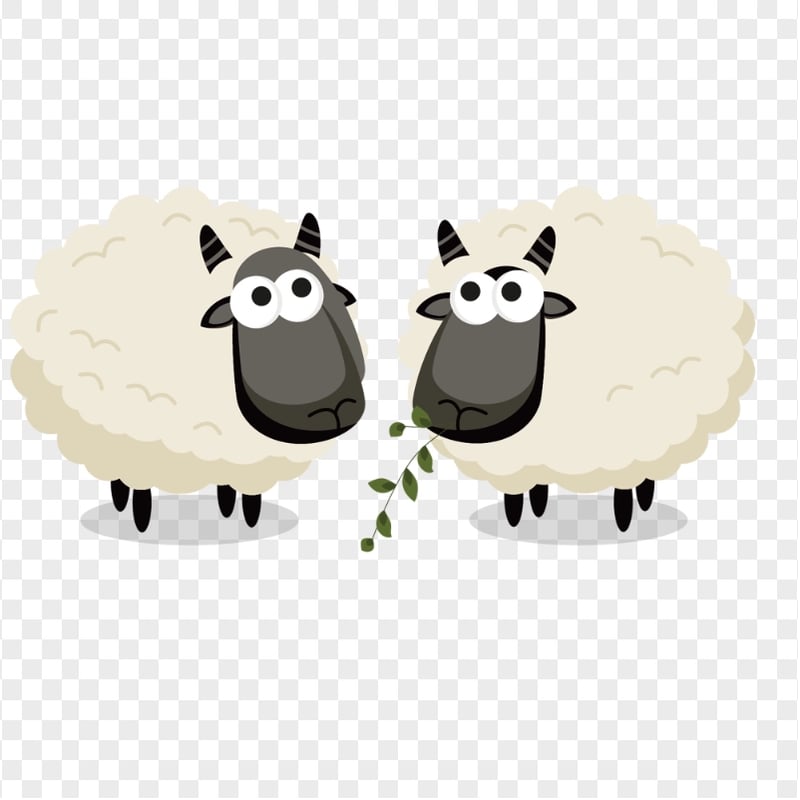 Two Cute Sheep Eat Grass Clipart