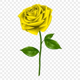 Realistic Yellow Rose HD Transparent PNG
