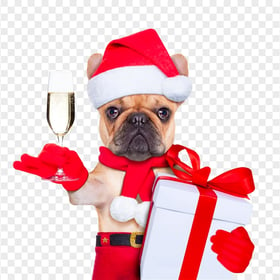 Christmas Puppy Dog Wearing Santa Claus PNG Image