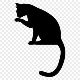Black Cat Silhouette Sitting HD Transparent Background