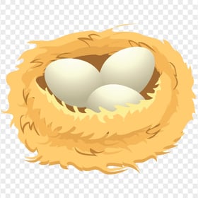 Vector Three Eggs in The Nest HD Transparent Background