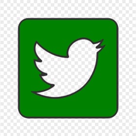 Aesthetic Green Square Twitter Icon PNG