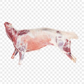 Whole Sheep Lamb Mutton Goat Meat Food