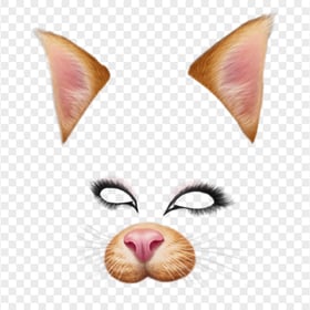 Snapchat Cat Face Filter Ears Eyes Nose PNG Image