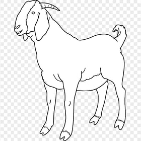 Coloring Goat Transparent Background