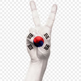 HD South Korea Flag Painted On Hand PNG