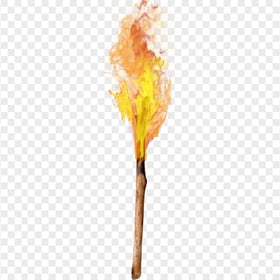 HD Wood Flame Fire Torch PNG