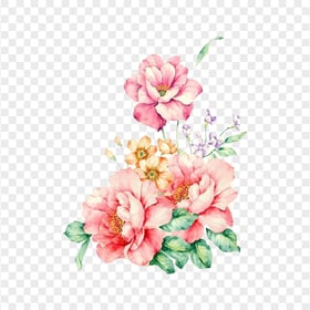PNG Painting Watercolor Floral Flowers