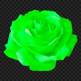 Green Vector Illustration Rose Flower PNG