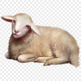 Cartoon Illustration Sheep Lying Down HD PNG