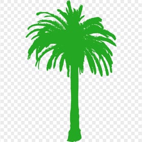 HD Palm Tree Green Silhouette PNG