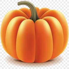 Orange Beautiful Pumpkin Illustration Image