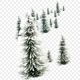 Snowy Trees Winter Nature HD PNG