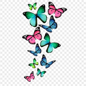 Butterflies Flying Wallpaper Clipart