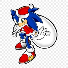HD Cartoon Hedgehog Sonic With Santa Hat Suit PNG