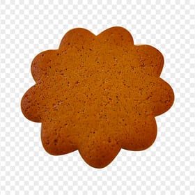Gingerbread Cookie Biscuit Star Shape Transparent PNG