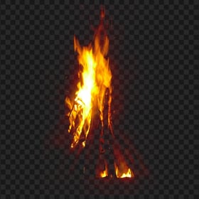 Tree On Fire PNG