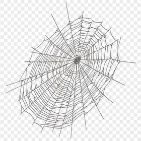 Black Spider Web Halloween FREE PNG